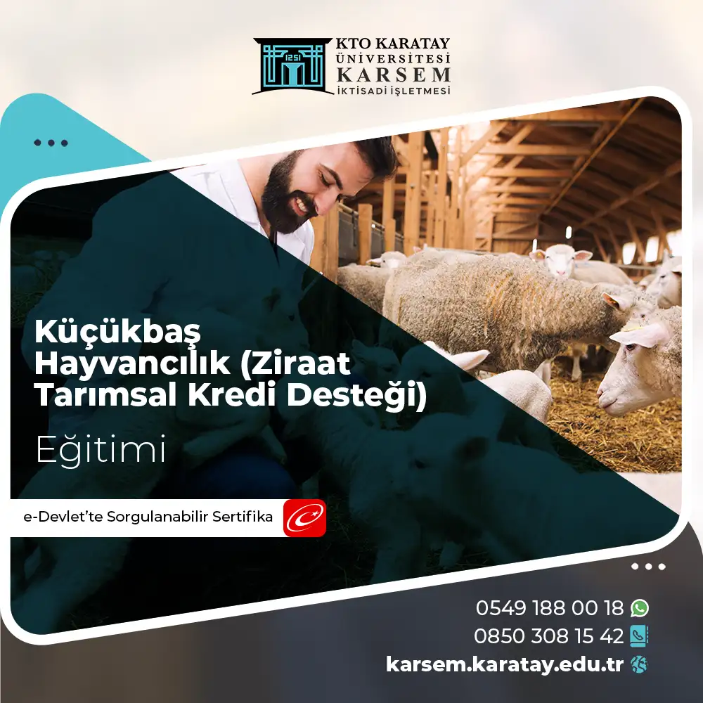 Küçükbaş Hayvancılık Sertifikası (Ziraat Tarımsal Kredi Desteği)