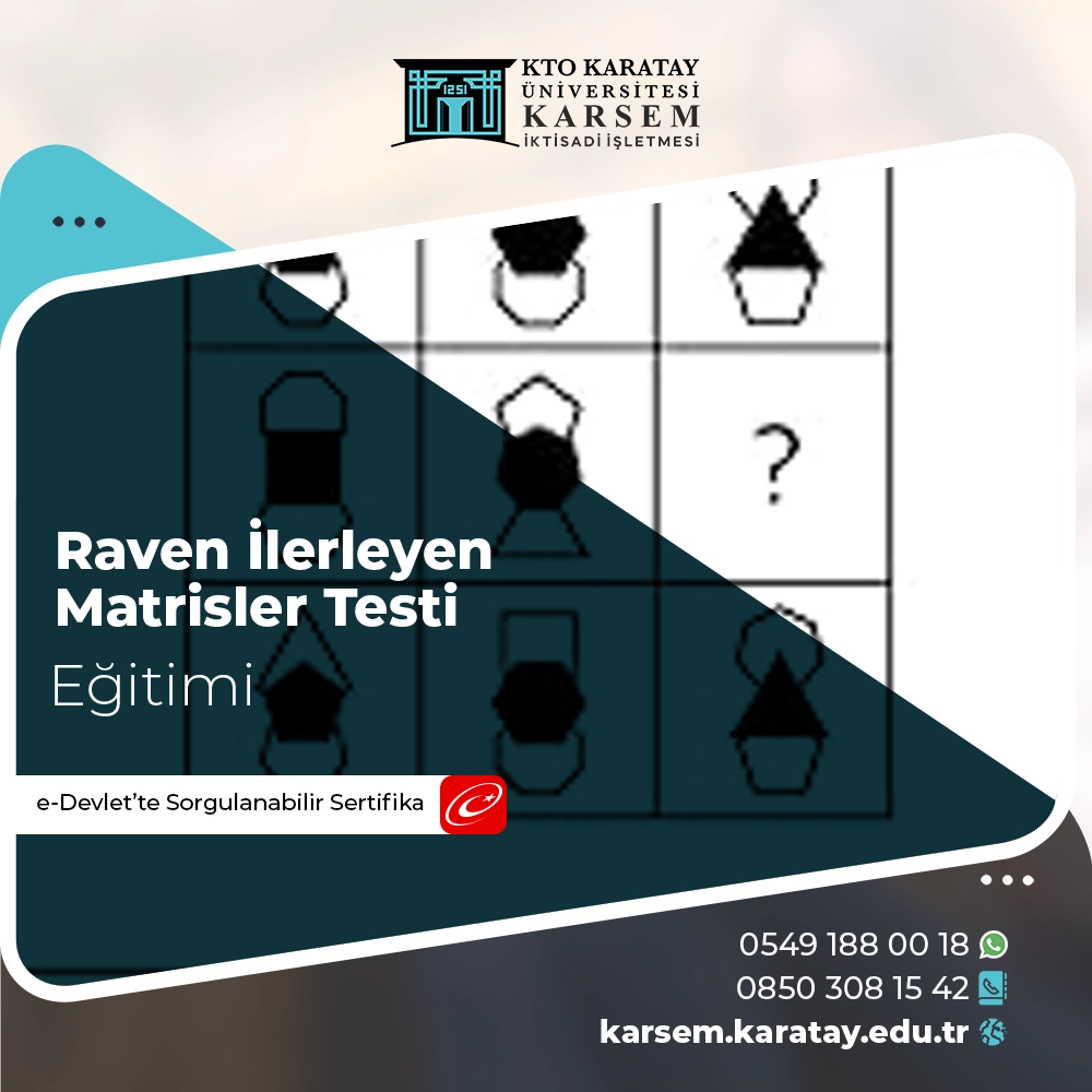 Raven İlerleyen Matrisler Testi Sertifika Programı